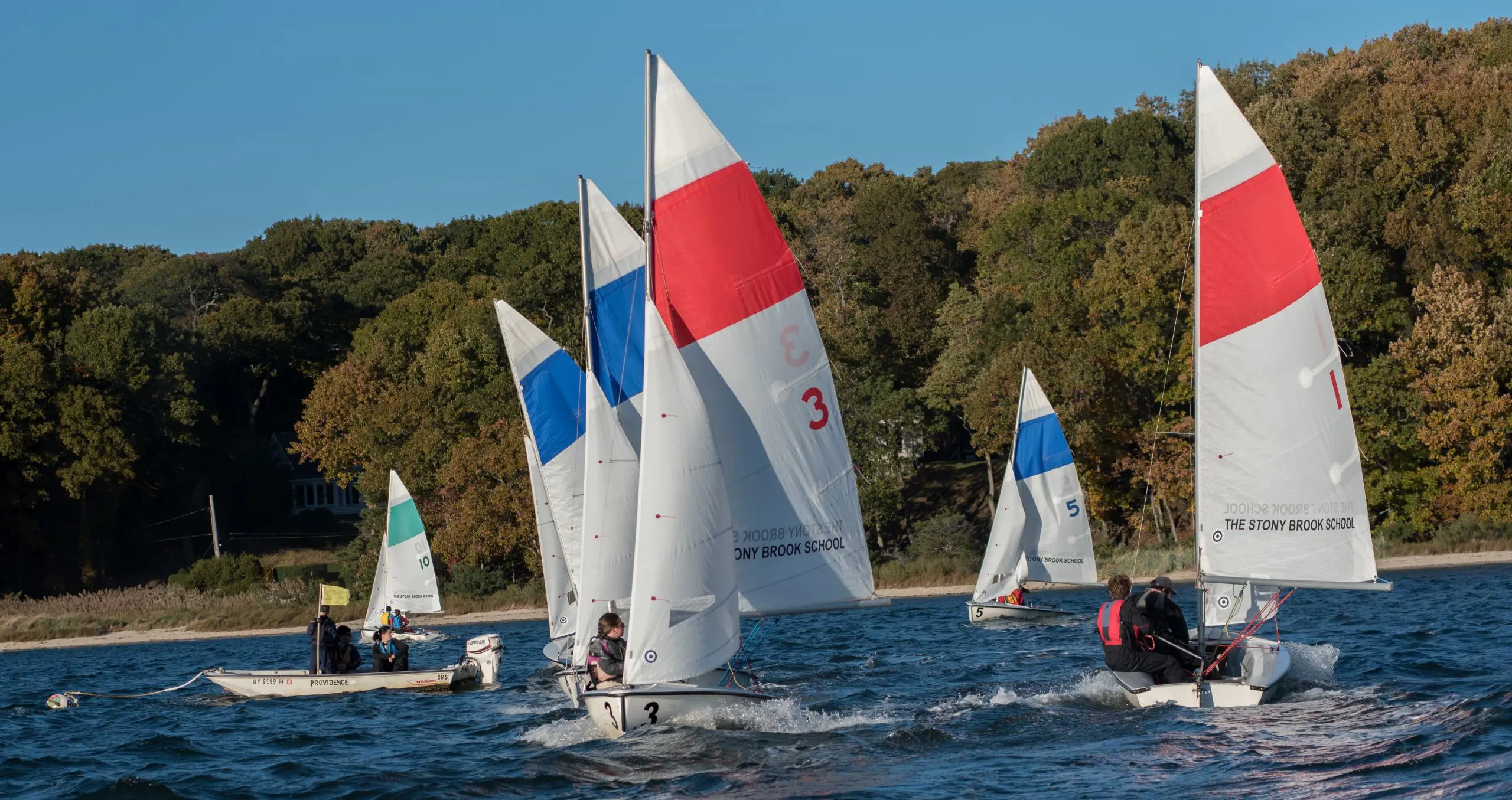 OptimizedImage,Optimized