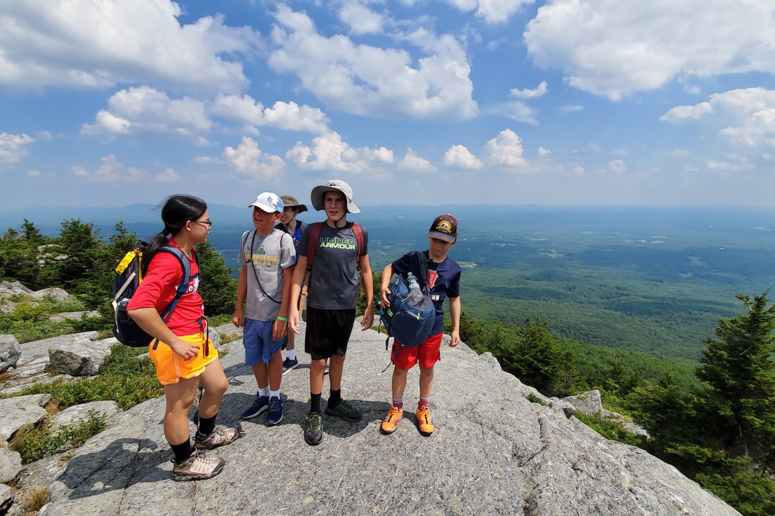 OriginalImage,,,Original