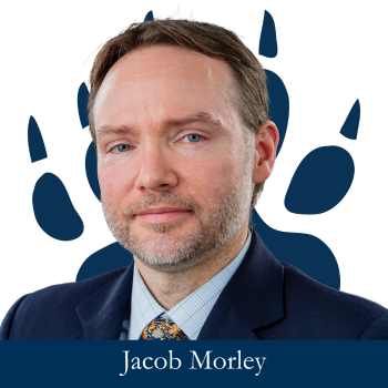 OriginalImage,,,Original